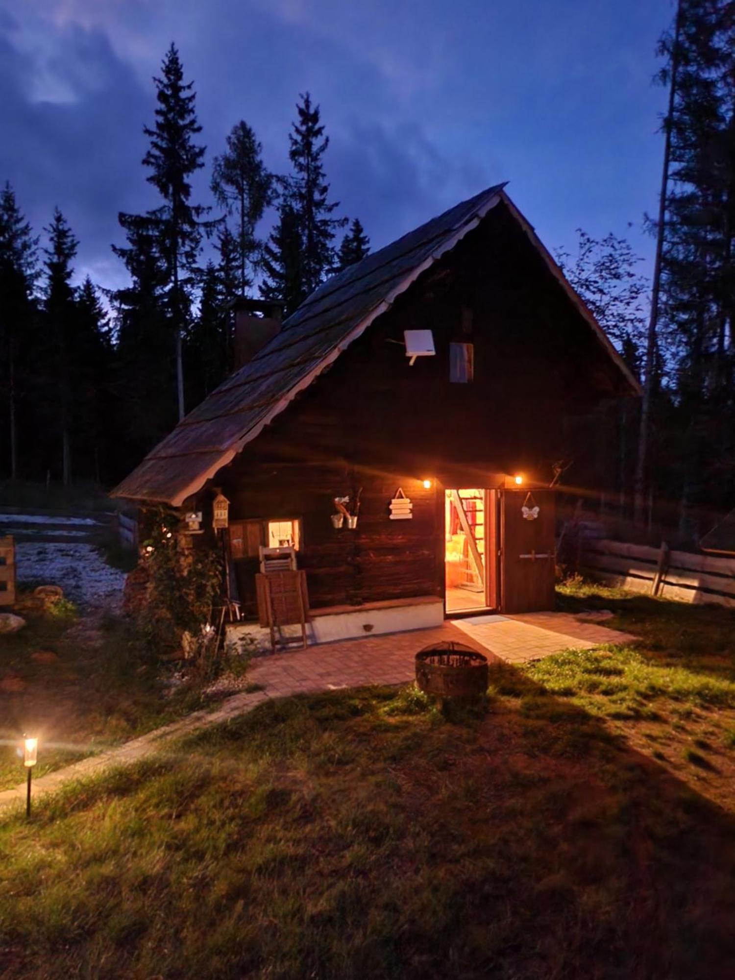 Urige Waldbienenhuette Daire Diex Oda fotoğraf